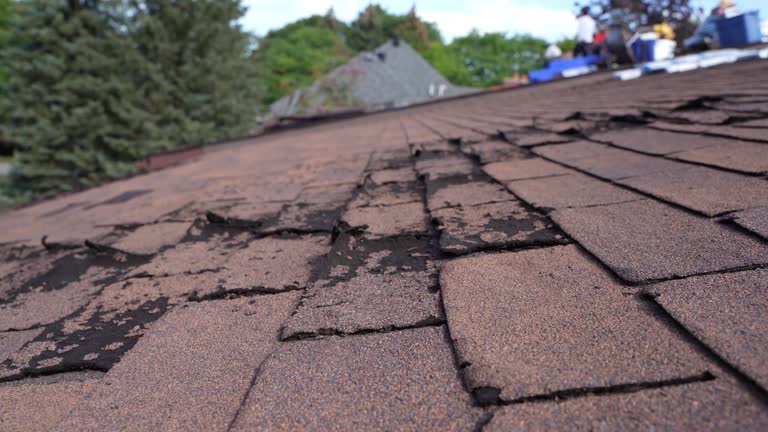 Best Gutter Replacement  in Bruce, MS